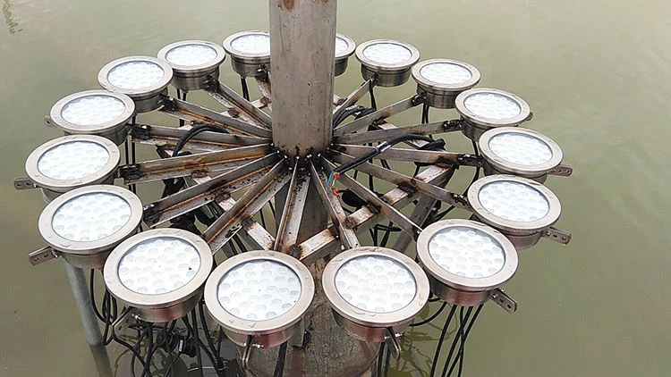 fountain light LED light maintain